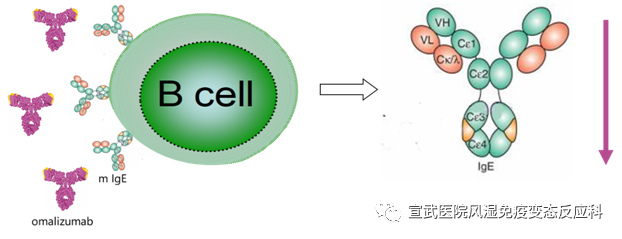 微信图片_20200720101048.png