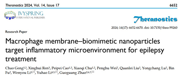 成果发表｜赵国光教授团队：巨噬细胞膜仿生纳米递送系统靶向炎症微环境治疗癫痫，发表在Theranostics杂志